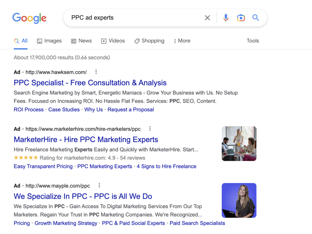 A Google search results page for "PPC ad experts."